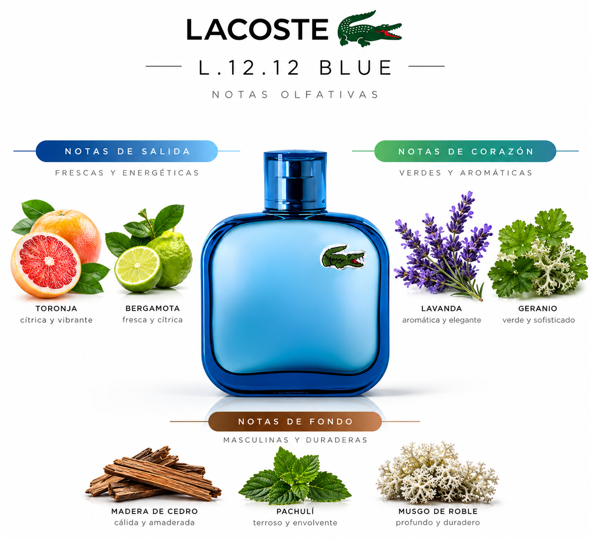 L.12.12 BLUE - Lacoste