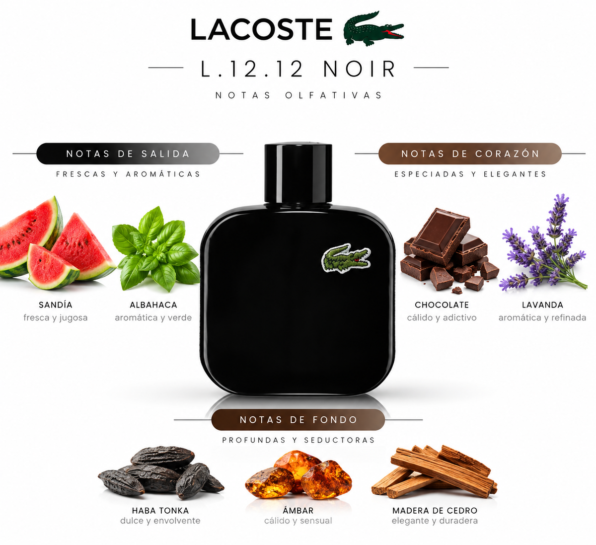 L.12.12 NOIR - Lacoste