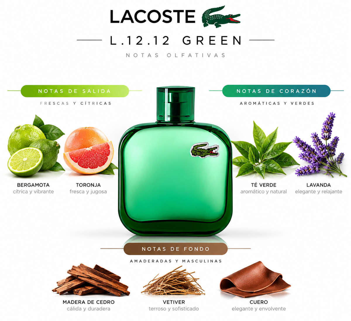 L.12.12 GREEN - Lacoste