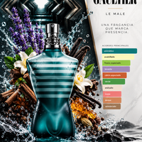 Le Male - Jean Paul Gaultier