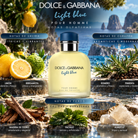LIGHT BLUE POUR HOMME - D&G