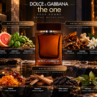 THE ONE POUR HOMME - D&G