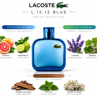 L.12.12 BLUE - Lacoste