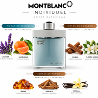 INDIVIDUEL - Mont Blanc