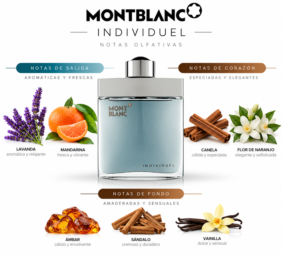 INDIVIDUEL - Mont Blanc