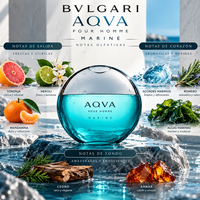 AQVA POUR HOMME MARINE - BVLGARI