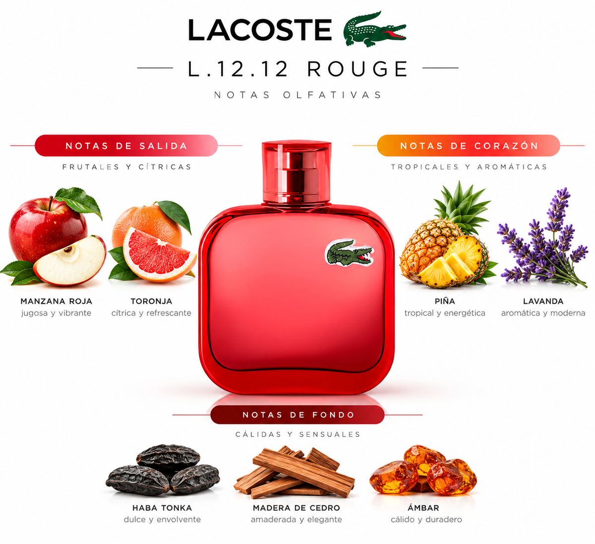 L.12.12 ROUGE - Lacoste