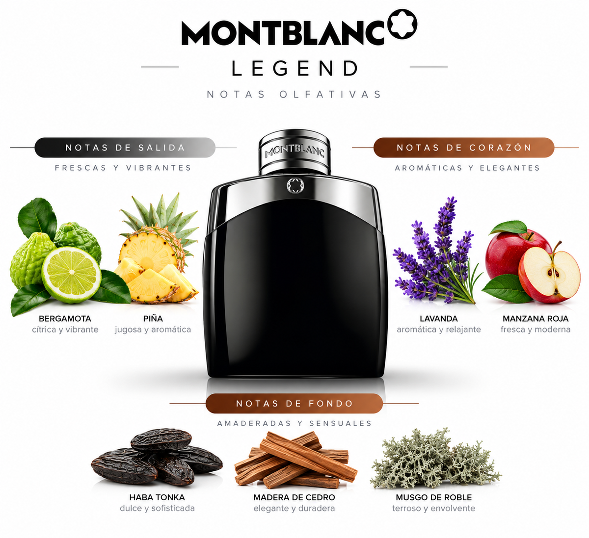 LEGEND - Mont Blanc