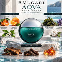 AQVA POUR HOMME - BVLGARI