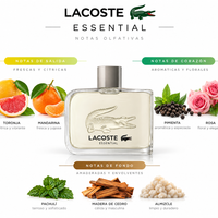 ESSENTIAL - Lacoste