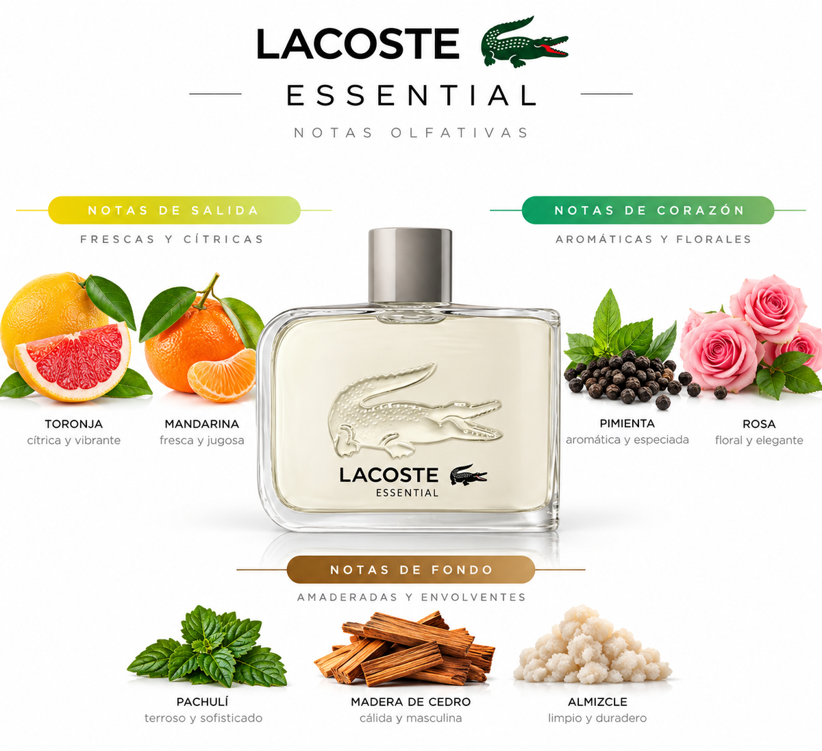 ESSENTIAL - Lacoste
